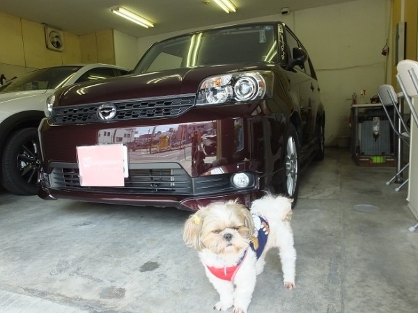 トヨタ カローラルミオン 赤外線カット シルフィード カーフィルム 施工カーフィルム ゴーストフィルム 自動車スモーク スパッタゴールド通販 トヨタ カローラルミオン 赤外線カット シルフィード カーフィルム 施工カーフィルム ゴーストフィルム 自動車スモーク スパッタゴールド通販