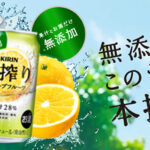 【香料・酸味料・糖類無添加】キリン本搾りチューハイ グレープフルーツ 500ml×24本