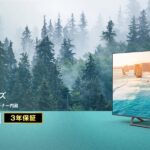 ハイセンス 50V型 4Kチューナー内蔵 液晶 テレビ 50U7FG ネット動画対応 3年保証 2021年モデル ブラック