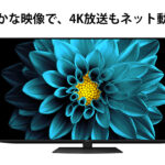 シャープ 50V型 液晶 テレビ AQUOS 4T-C50DL1 4K チューナー内蔵 Android TV (2021年モデル)